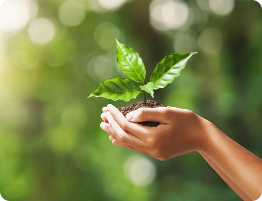 Jiangsu Dingshun Tıbbi Ürünler Co., Ltd.